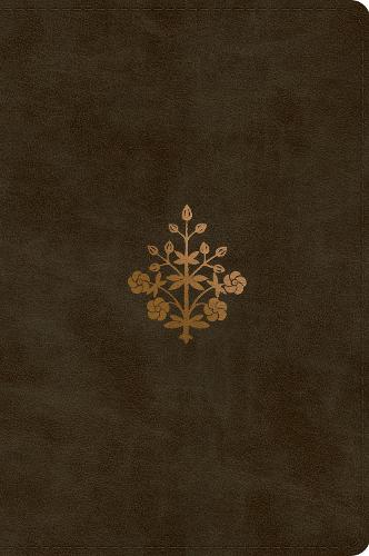 ESV Large Print Bible