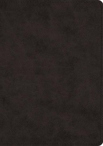 ESV Journaling Bible, Interleaved Edition