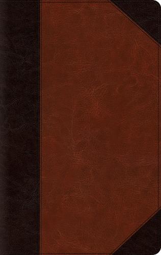 ESV Large Print Thinline Bible