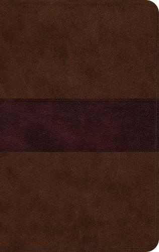 ESV Large Print Thinline Bible