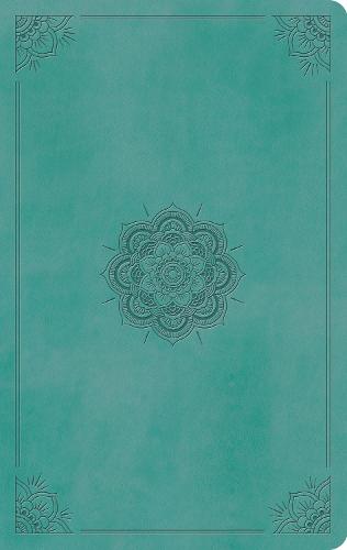 ESV Large Print Value Thinline Bible