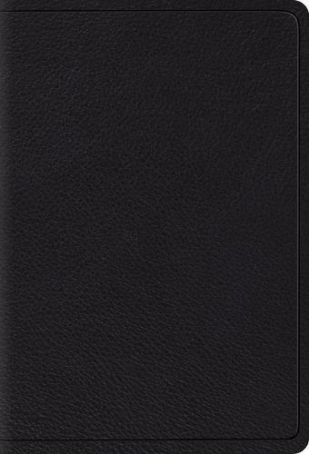ESV Large Print Compact Bible
