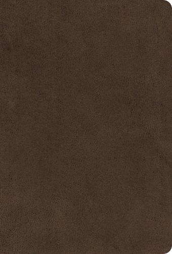 ESV Large Print Compact Bible