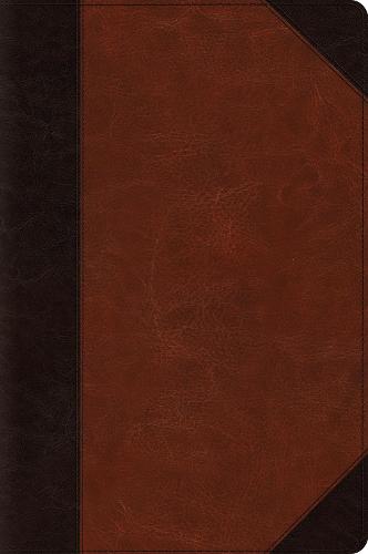 ESV Large Print Bible