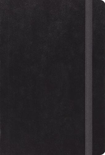 ESV Large Print Compact Bible