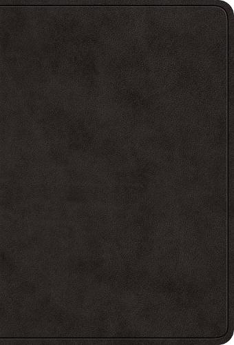 ESV Value Large Print Compact Bible