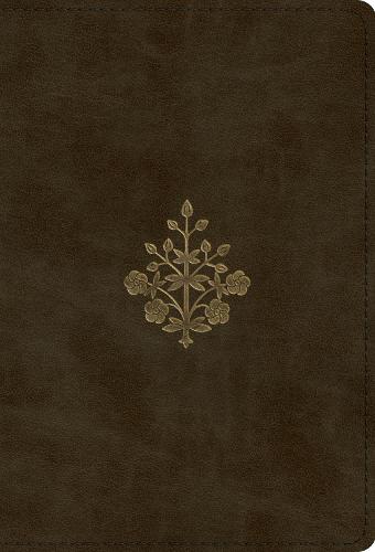ESV Large Print Compact Bible
