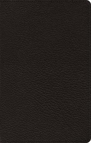 ESV Premium Thinline Bible
