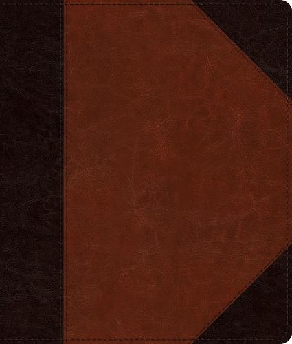 ESV Journaling Bible