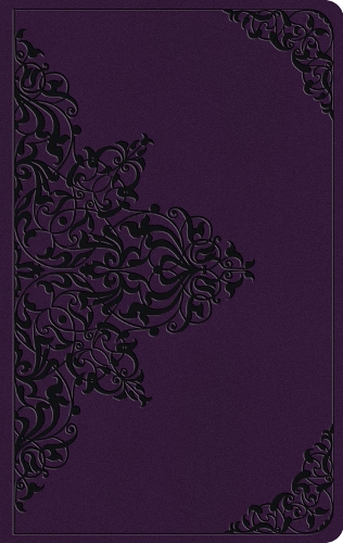 ESV Large Print Value Thinline Bible