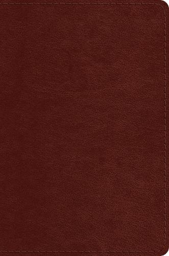 ESV Single Column Legacy Bible