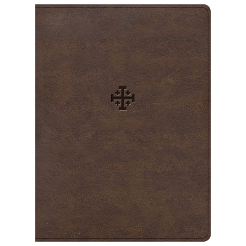 CSB Life Connections Study Bible, Brown LeatherTouch, Indexed