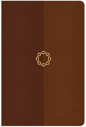 CSB Essential Teen Study Bible, Walnut LeatherTouch