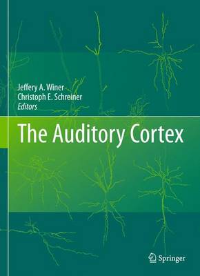 The Auditory Cortex