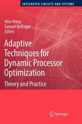 Adaptive Techniques for Dynamic Processor Optimization