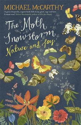 The Moth Snowstorm