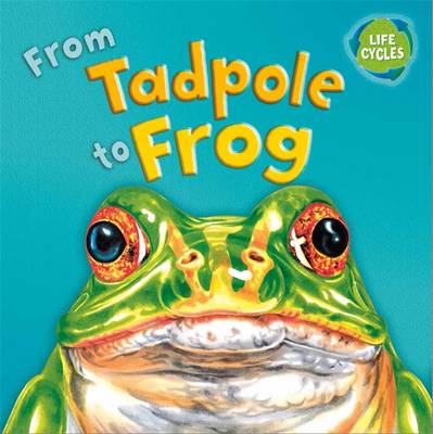 From Tadpole To Frog