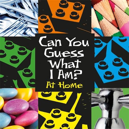 Can You Guess What I Am?: At Home