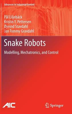 Snake Robots