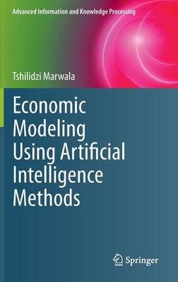 Economic Modeling Using Artificial Intelligence Methods