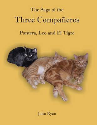 The Saga of the Three Companeros