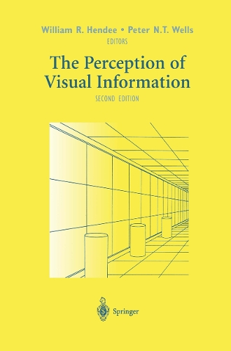 The Perception of Visual Information