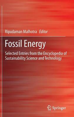 Fossil Energy
