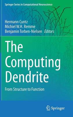 The Computing Dendrite