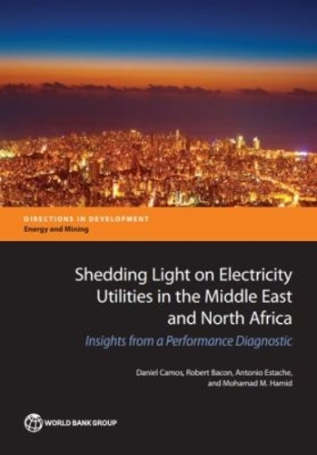 Shedding Light on Electricity Utilities in the Middle East and North Africa
