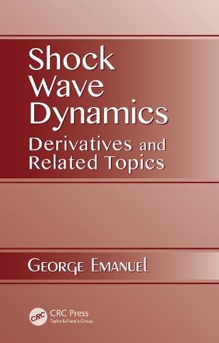 Shock Wave Dynamics