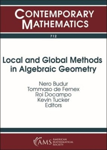 Local and Global Methods in Algebraic Geometry