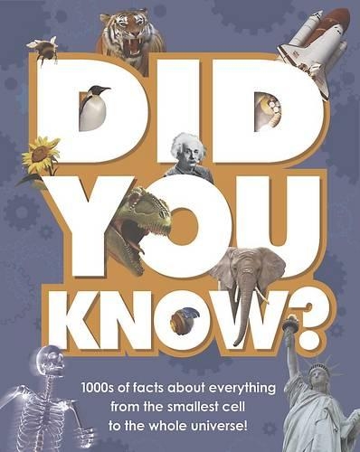 Did You Know?