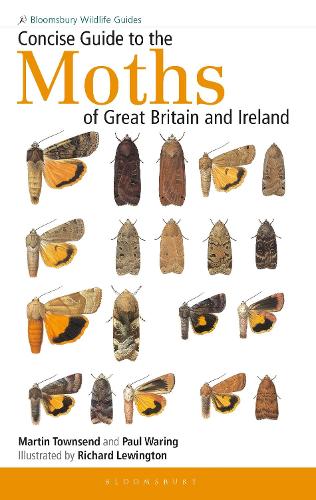 Concise Guide to the Moths of Great Britain and Ireland