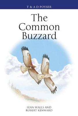 The Common Buzzard