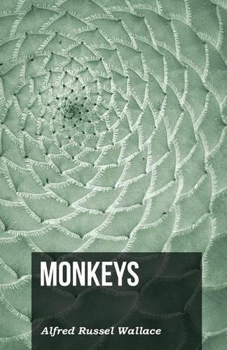 Monkeys