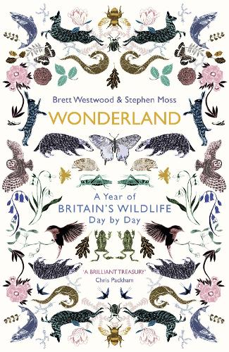 Wonderland