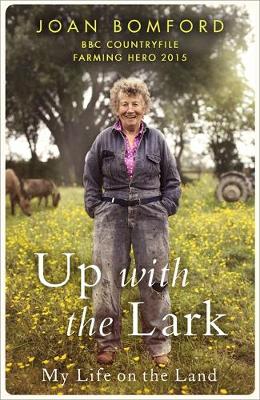 Up With The Lark