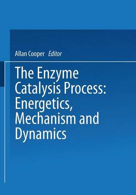 The Enzyme Catalysis Process