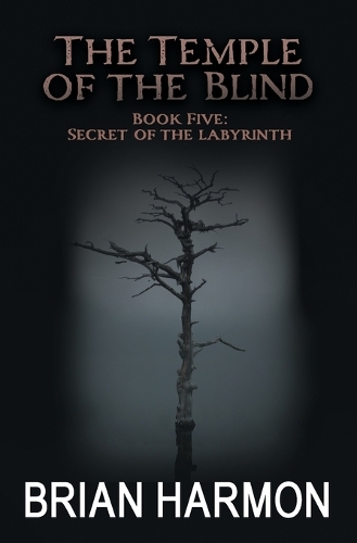 Secret of the Labyrinth