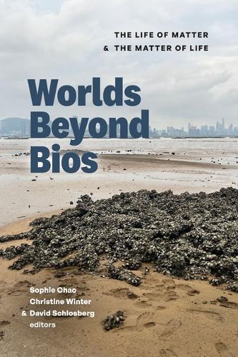 Worlds Beyond Bios