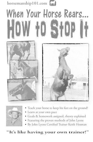 When Your Horse Rears