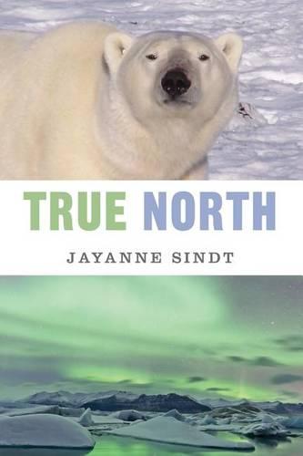 True North