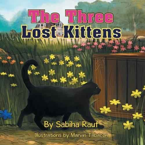The Three Lost Kittens