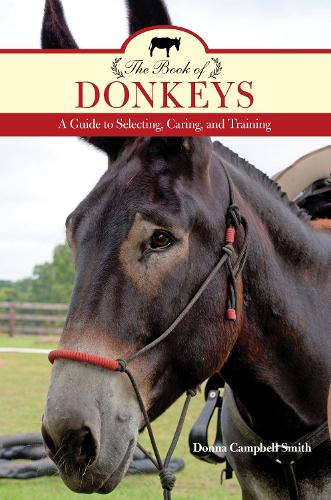 The Book of Donkeys