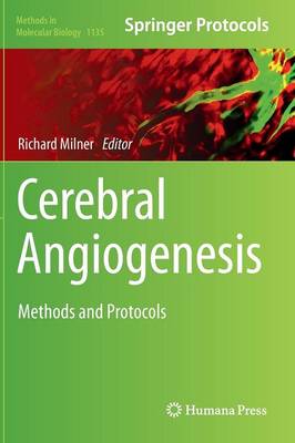 Cerebral Angiogenesis