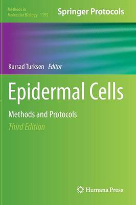 Epidermal Cells