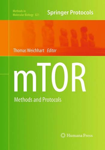 mTOR