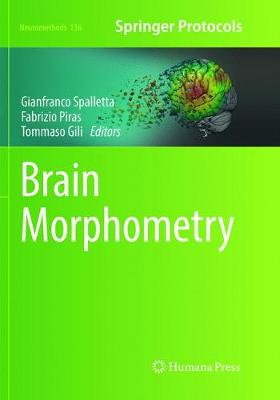 Brain Morphometry