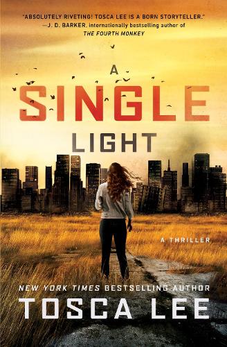 A Single Light Volume 2