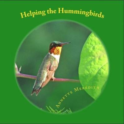 Helping the Hummingbirds